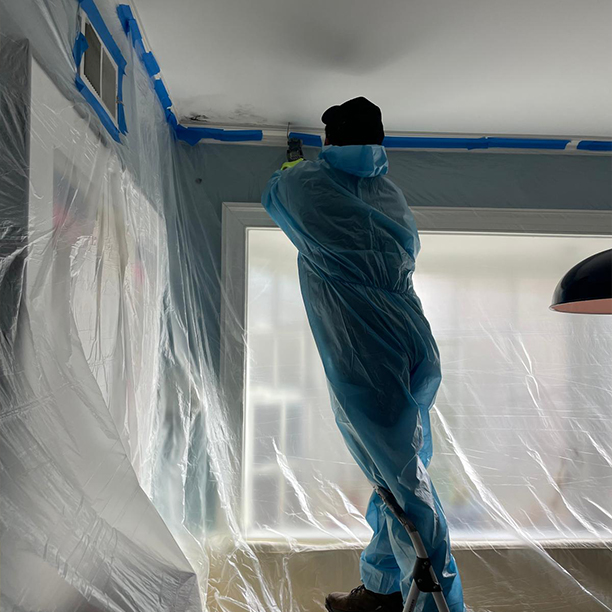 Professional Mold Remediation Specialist NJ