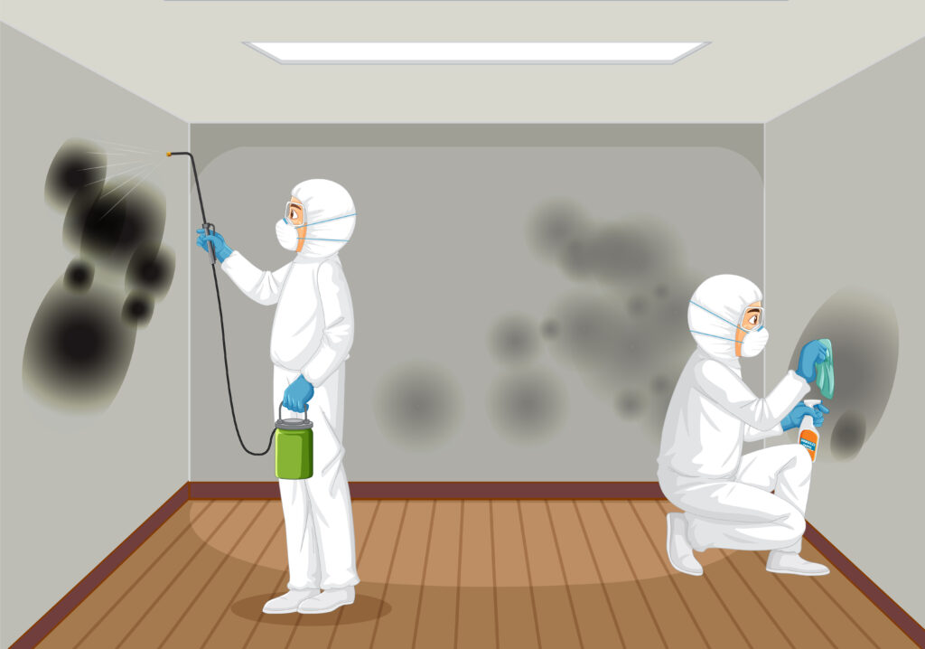 Expert Mold Remediation Specialist in New Jersey