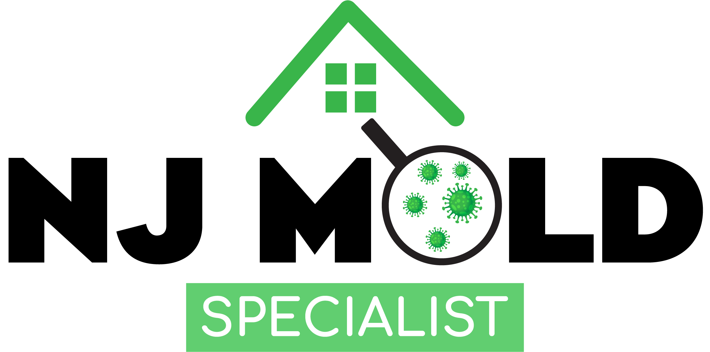 New Jersey Mold Specialist