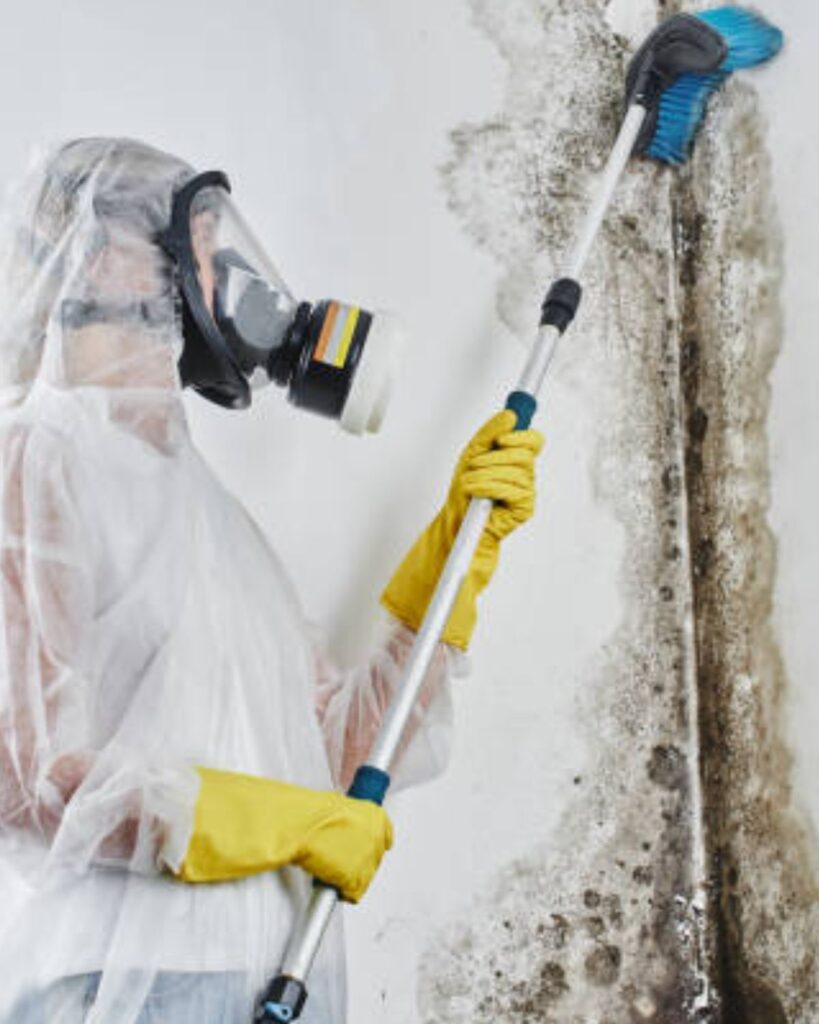 Anti Bacterial Solutions for Mold Remediation in New Jersey