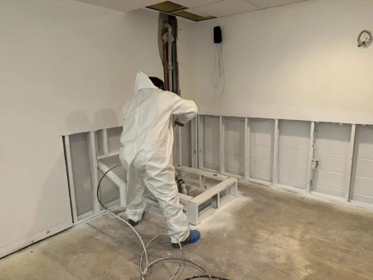 Professional Emergency Mold Sampling and Removal in New Jersey
