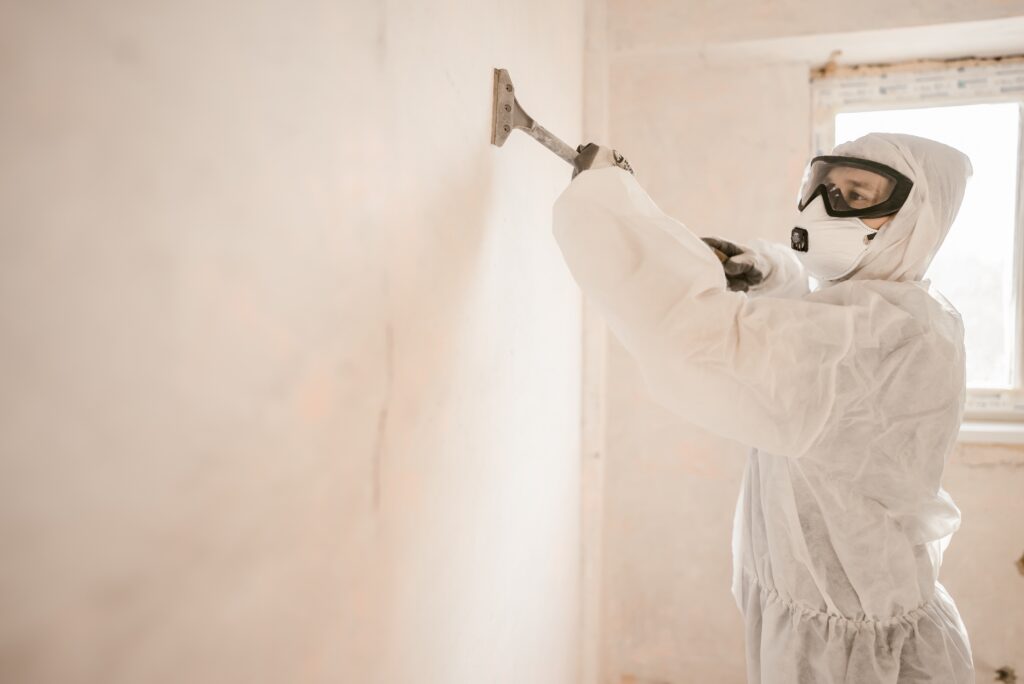 Mold Detection Experts New Jersey