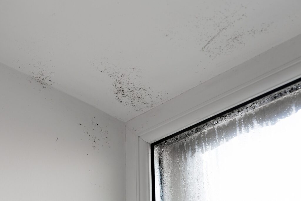 black spot on walls and ceiling