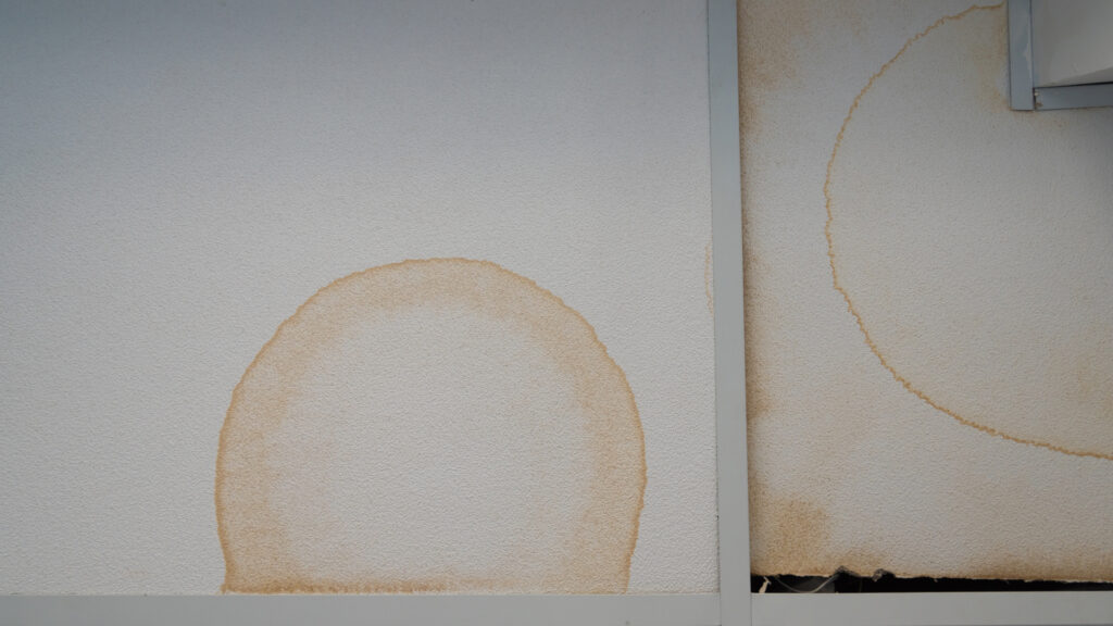 Yellow or Brown Stains on Ceiling Should You Be Worried
