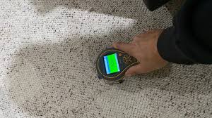How Professionals Detect Hidden Moisture in a Home