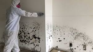 What Happens During Mold Remediation