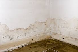 Flood Clean Up and Mold Prevention